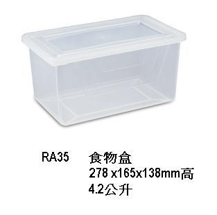RA35 Food Container
